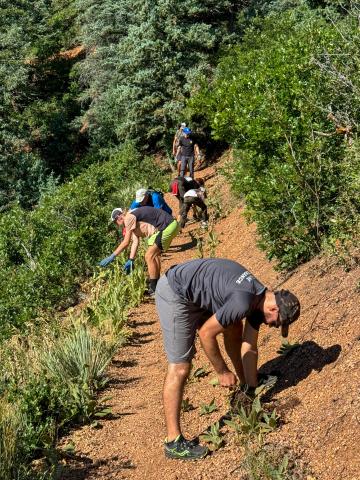Friends of the Manitou Incline clean up the trail